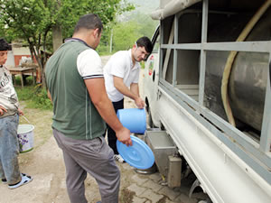 Süt kooperatifi Çaylıoğlu’na hayat veriyor