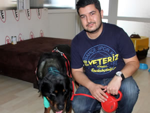Ameliyat edilen köpek yeniden yürümeye başladı