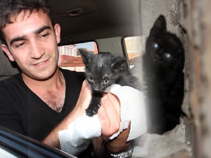 Yavru kedi sıkıştığı yerden 3 gün sonra kurtarıldı