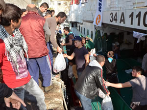 Hamsi bolluğu yüz güldürdü: 30 ton hamsi poşet poşet satıldı