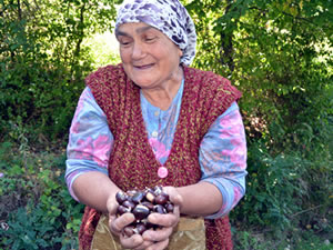 Kestane bereketi!