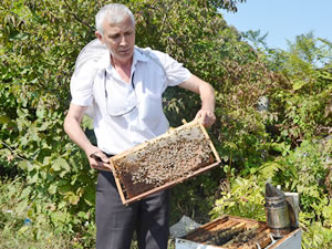 “Zonguldak’ta bal ormanı kurulmalı”