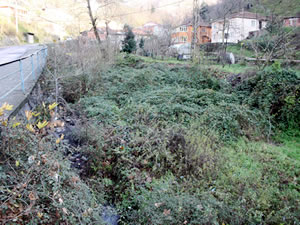 Derelerin bakımsızlığı, tehlike saçıyor