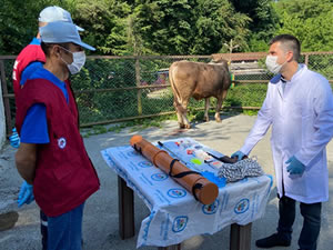 Belediyenin kurban yakalama timi greve hazr